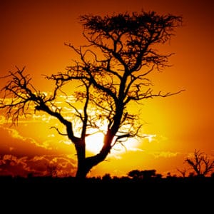 Kgalagadi Sunrise